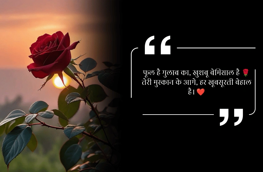 Phool hai gulab ka shayari