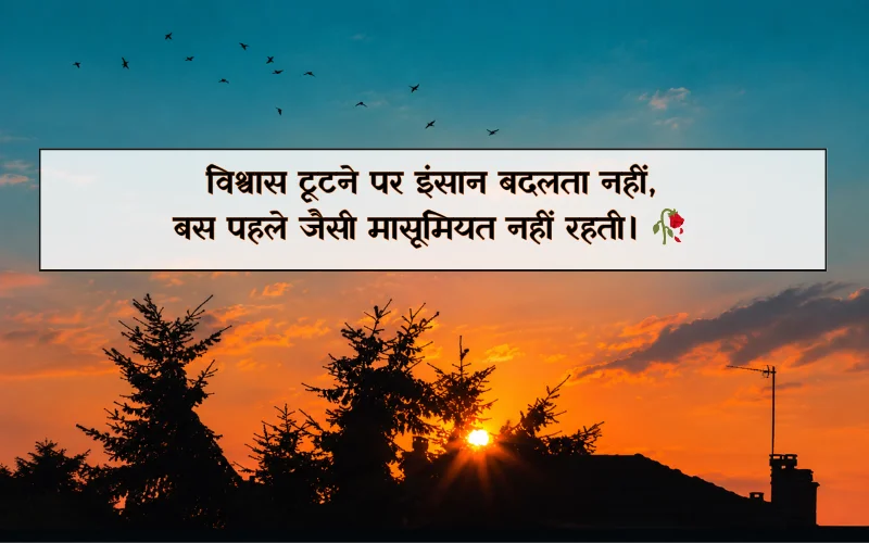 विश्वास टूटा भरोसा शायरी